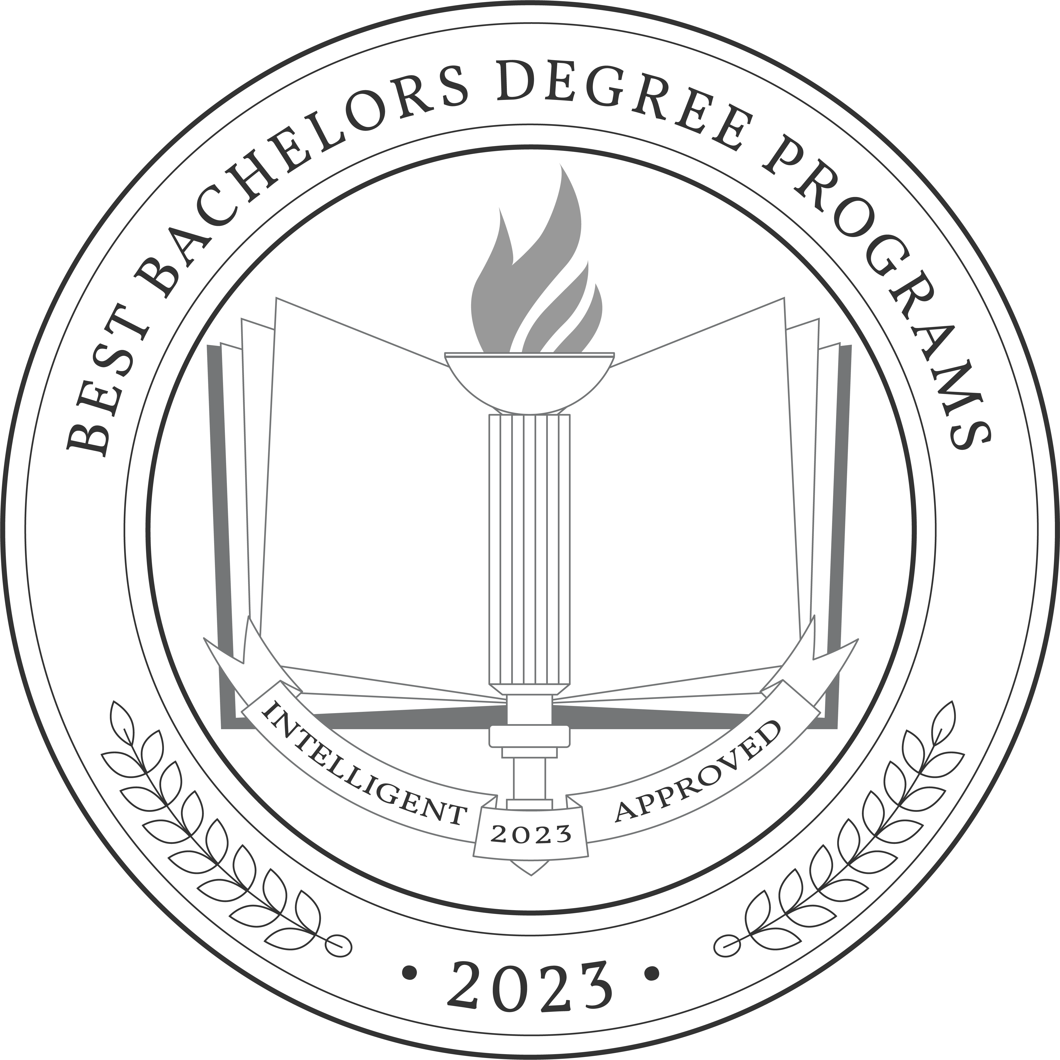 Best Bachelors Degree Programs 2023