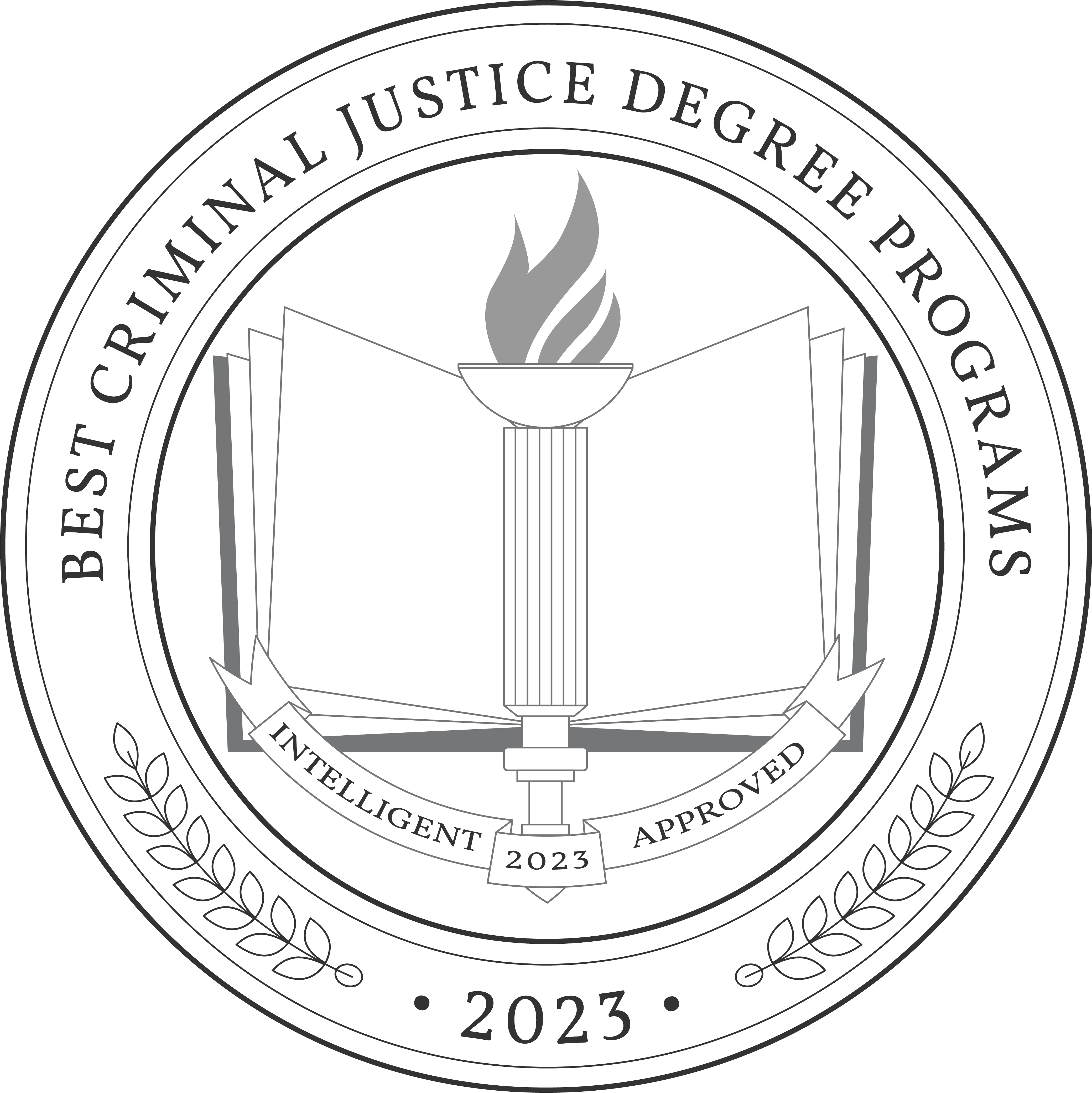 Best Criminal Justice Degree Programs 2023