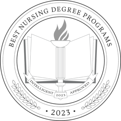 Best Nursing Degree Programs 2023